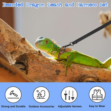 3 Pack Bearded Dragon Harness
