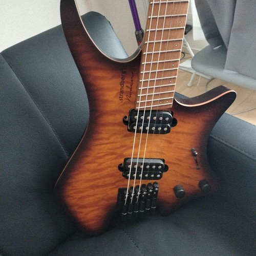 Strandberg guitars safe - strandberg,