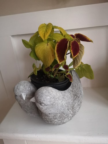 Resin bird planter - resin,