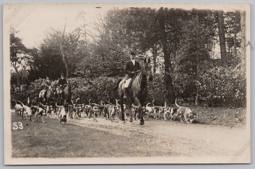 Hunt meet the egerton - hunt,