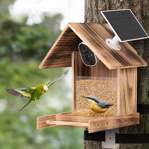 Smart bird feeders - bird, house