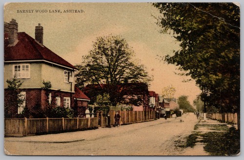 Ashtead barnet wood lane - ashtead,