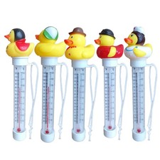 Cute Duck Floating Pool