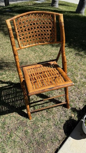 Vintage tortoise shell - tortoise,