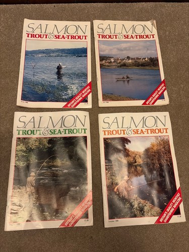 Salmon trout sea - salmon,