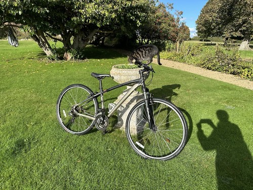 Specialised cross trail bike - cross,