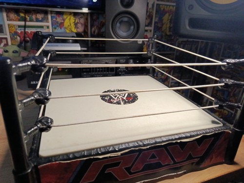 2010 wwe raw spring loaded - raw,