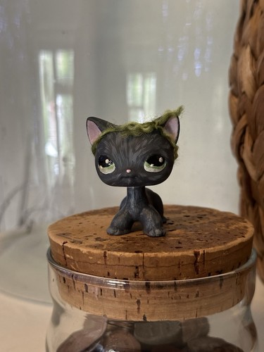 Custom littlest pet - , black