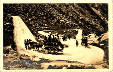 Horse drawn stagecoach - horse,