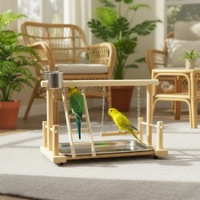 Parrot Playstand Bird Plays