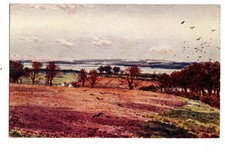 Lancashire. Hest Bank looking