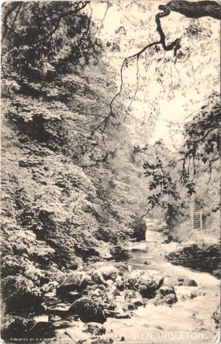 Swilla glen ingleton yorkshire - ingleton,