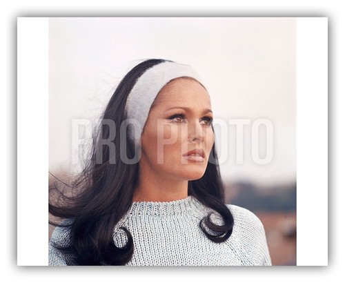 Ursula andress 8x10 - 8x10, wig