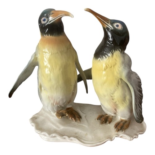 Karl ens penguin - penguin, pair
