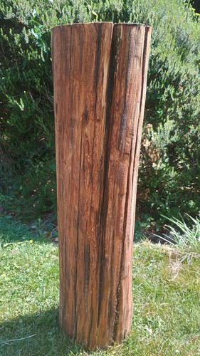 Log side table - , natural