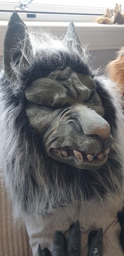 Werewolf overhead horror - horror, mask