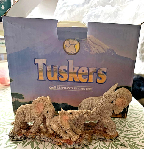 Tuskers diggin elephant - diggin', in