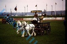 Samuel Smith Ales Horse Drawn Dray At country Show 1980's White 35mm slide 