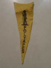 Polyapes Scout Camp Pennant