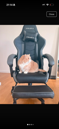 Dowinx gaming chair ergonomic - dowinx,