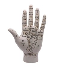 Palmistry Hand 9.5" Palm