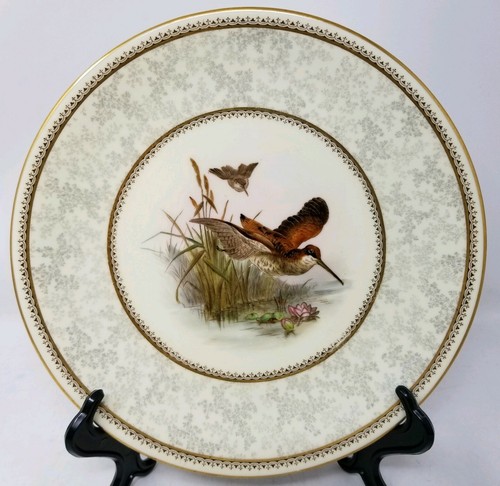 Royal worcester porcelain - worcester,