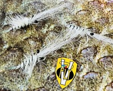 3 V Fly Size 6 Alphonse Living