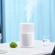 Air Purifier with HEPA Filter