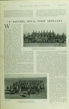 1902 print battery royal - print,