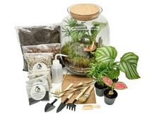 DIY Terrarium Kit with 32cm Glass Jar Complete Terrarium Kit Bottle Garden 