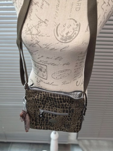 Kipling turtle animal - turtle,
