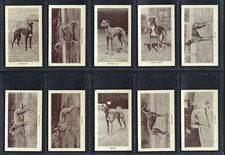 MORRIS (B) - RACING GREYHOUNDS