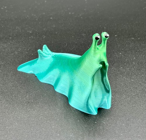 Sea slug - sea,