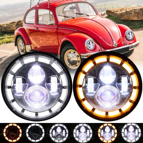 For beetle 1967 1979 - for,