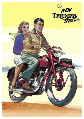 Triumph poster t15 terrier - poster,