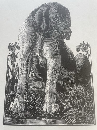 Reproduction an original - reproduction, of