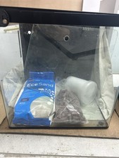 Marine fish tank - fish,