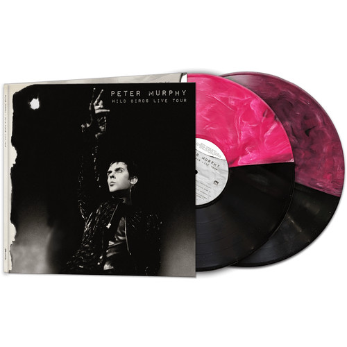 Peter murphy wild - peter, birds