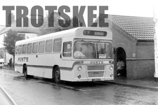 35mm Negative Hunt Alford