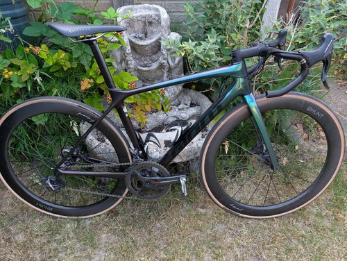 Giant tcr advanced pro - tcr,