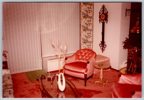 Vtg color snapshot pink tufted - snapshot,