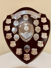 🏆 Big Trophy Shield 12”