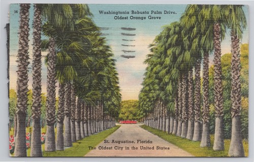 Postcard augustine fl - st.,