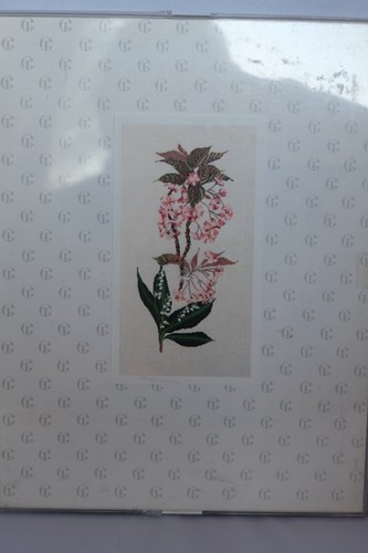 Thea gouverneur prunus - thea,