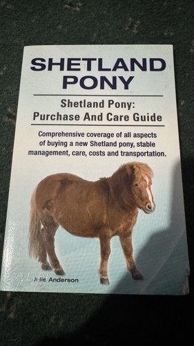 Shetland pony - shetland,