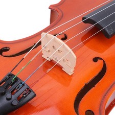 Viola Beginner With Bow Case