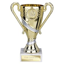 PRESENTATION CUP SPORTS TROPHY
