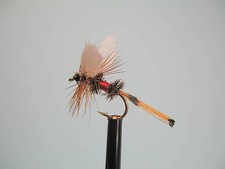 3 x ROYAL COACHMAN DRY TROUT FLIES Sizes 12,14,16 Available