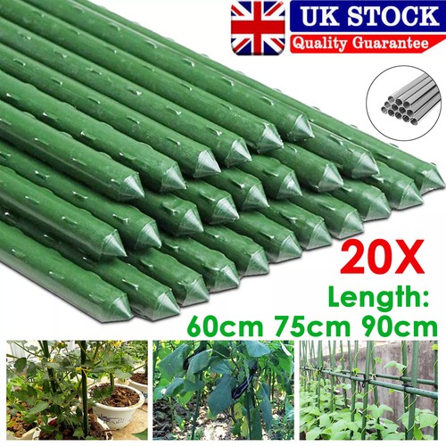 20pack garden plant - 20pack,
