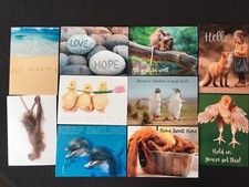 50 Postcard Store “Chin